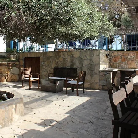 Villa Olive Peyia