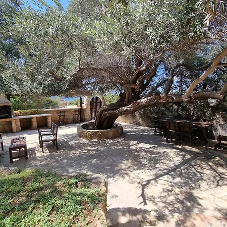 Olive Villa Peyia