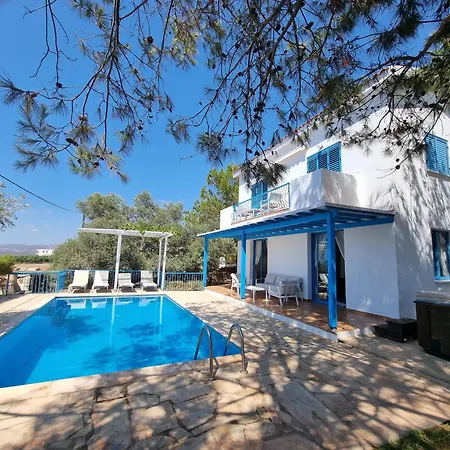 Olive Villa