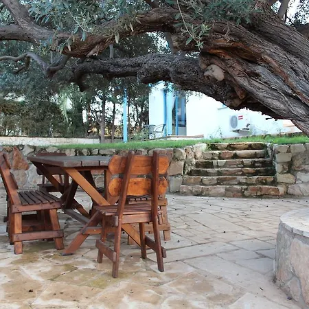 Olive Peja