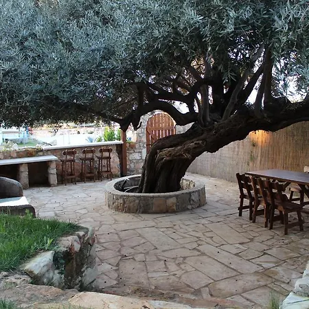 Villa Olive Peyia